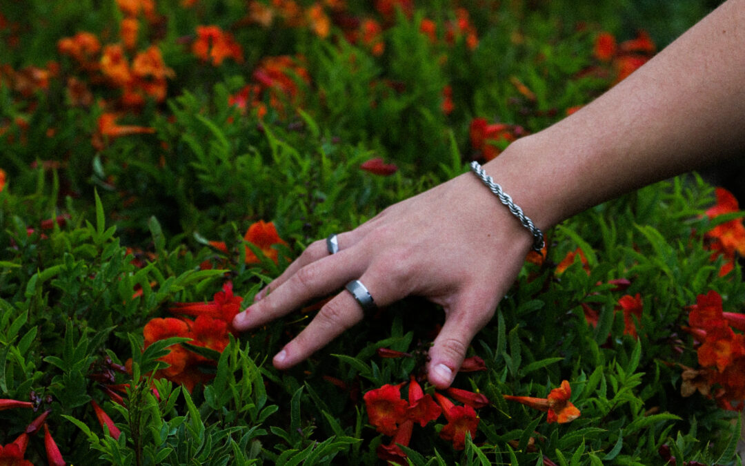 MAN and LION Product Photo 1